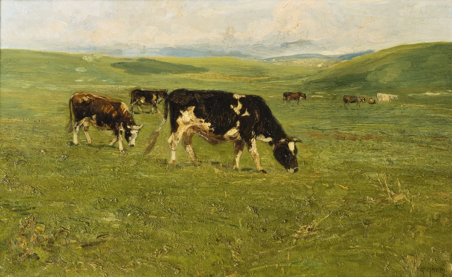 Le mucche brune, Asiago